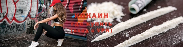 PSILOCYBIN Новокубанск