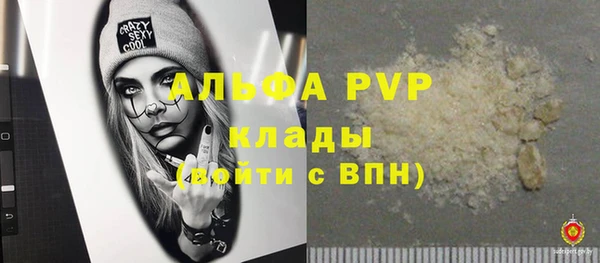 спиды Новодвинск