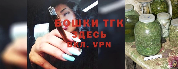 соль ск Новозыбков