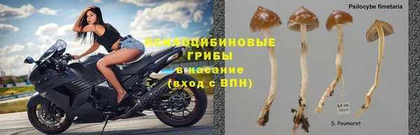 соль ск Новозыбков