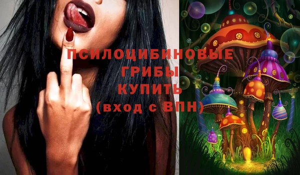 спиды Новодвинск