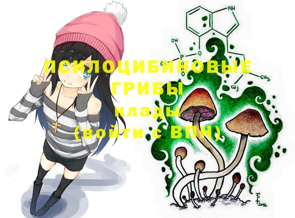 соль ск Новозыбков