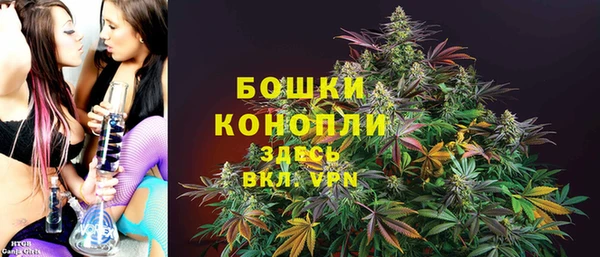 соль ск Новозыбков