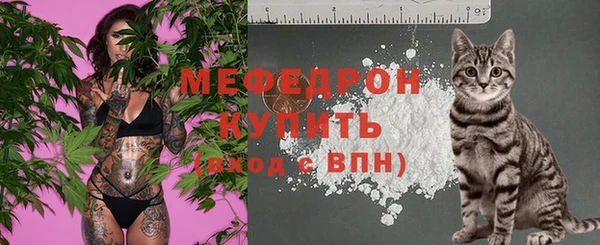 спиды Новодвинск