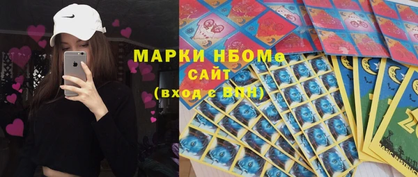 PSILOCYBIN Новокубанск