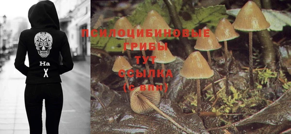 трава Беслан