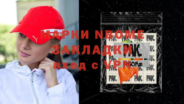 соль ск Новозыбков