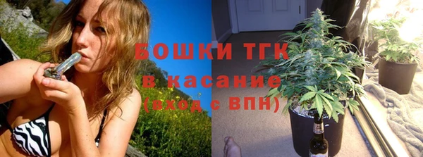прущие грибы Туринск