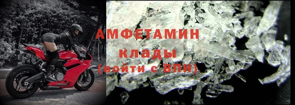 соль ск Новозыбков