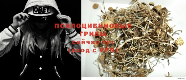 PSILOCYBIN Новокубанск