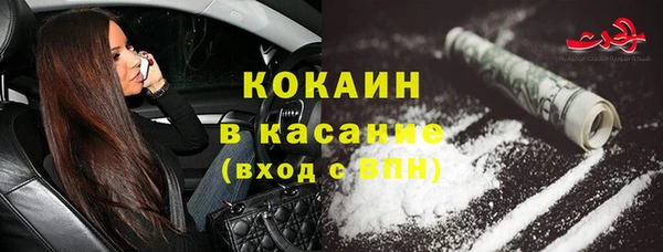 соль ск Новозыбков