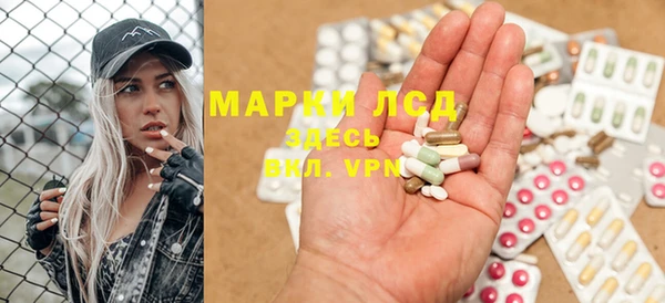 соль ск Новозыбков