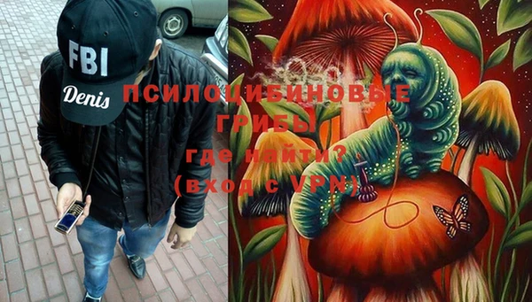 спиды Новодвинск